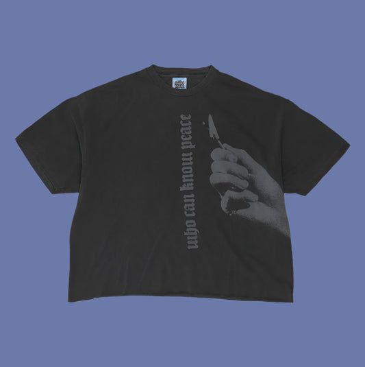 𝑾𝒉𝒐 𝑪𝒂𝒏 𝑲𝒏𝒐𝒘 𝑷𝒆𝒂𝒄𝒆