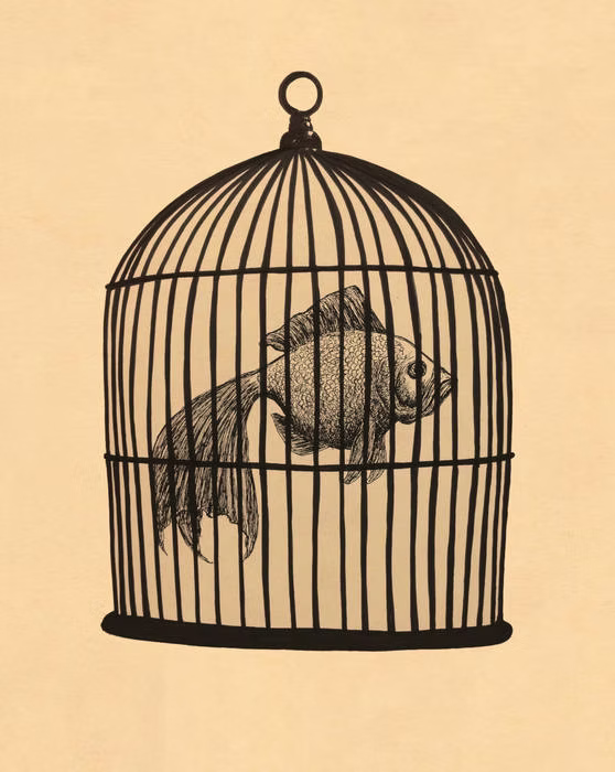 Fish in a Birdcage