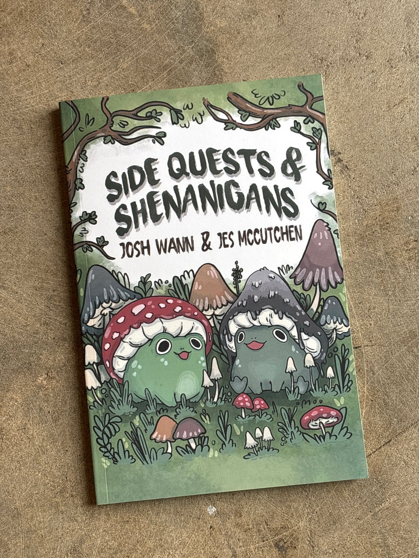 Side Quests & Shenanigans by Josh Wann & Jes McCutchen