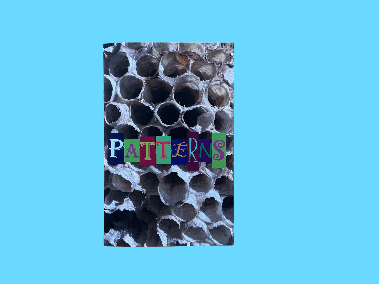PATTERNS by Amber Paddock