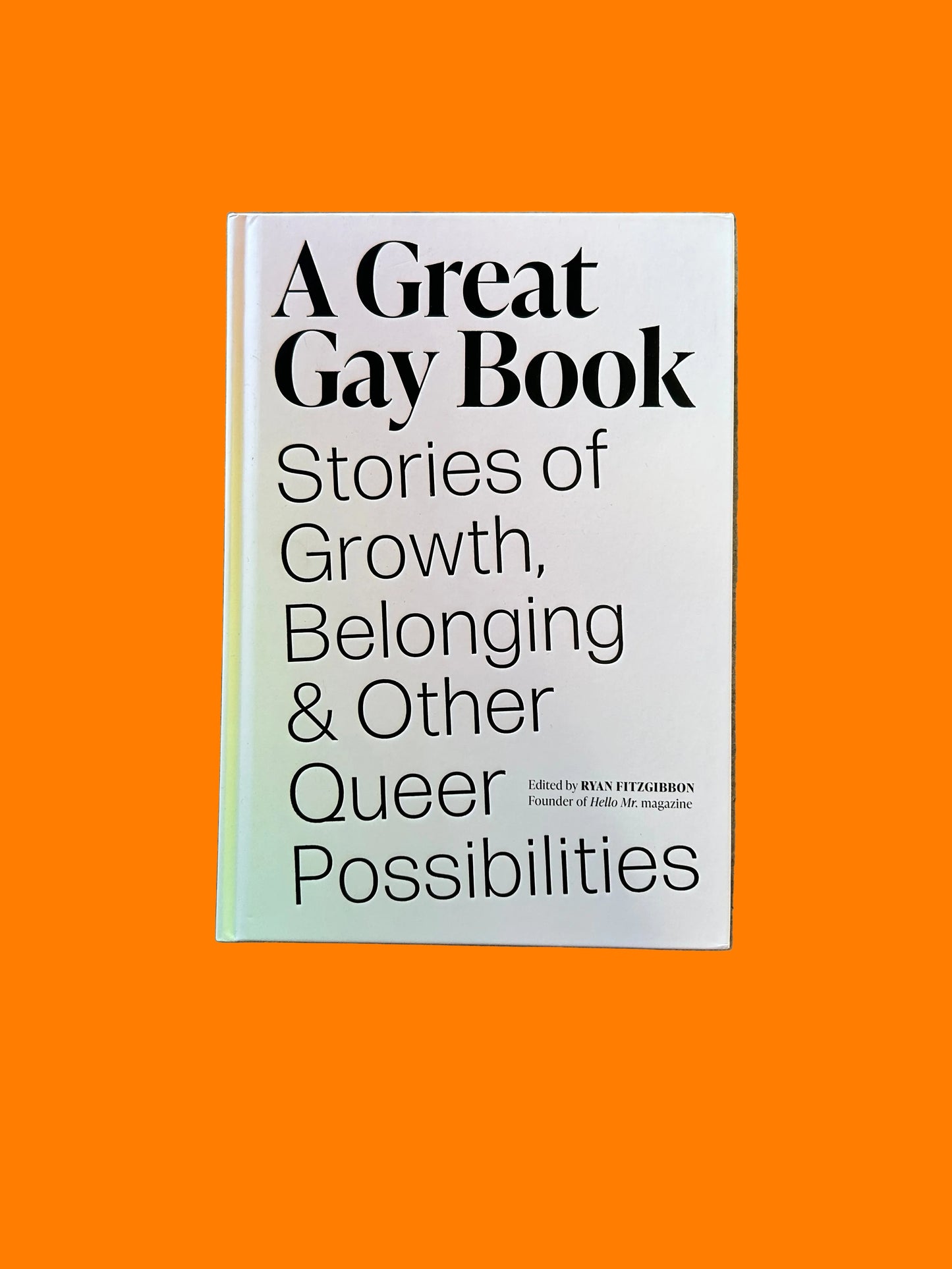 Book titled 'A Great Gay Book' on a textured surface