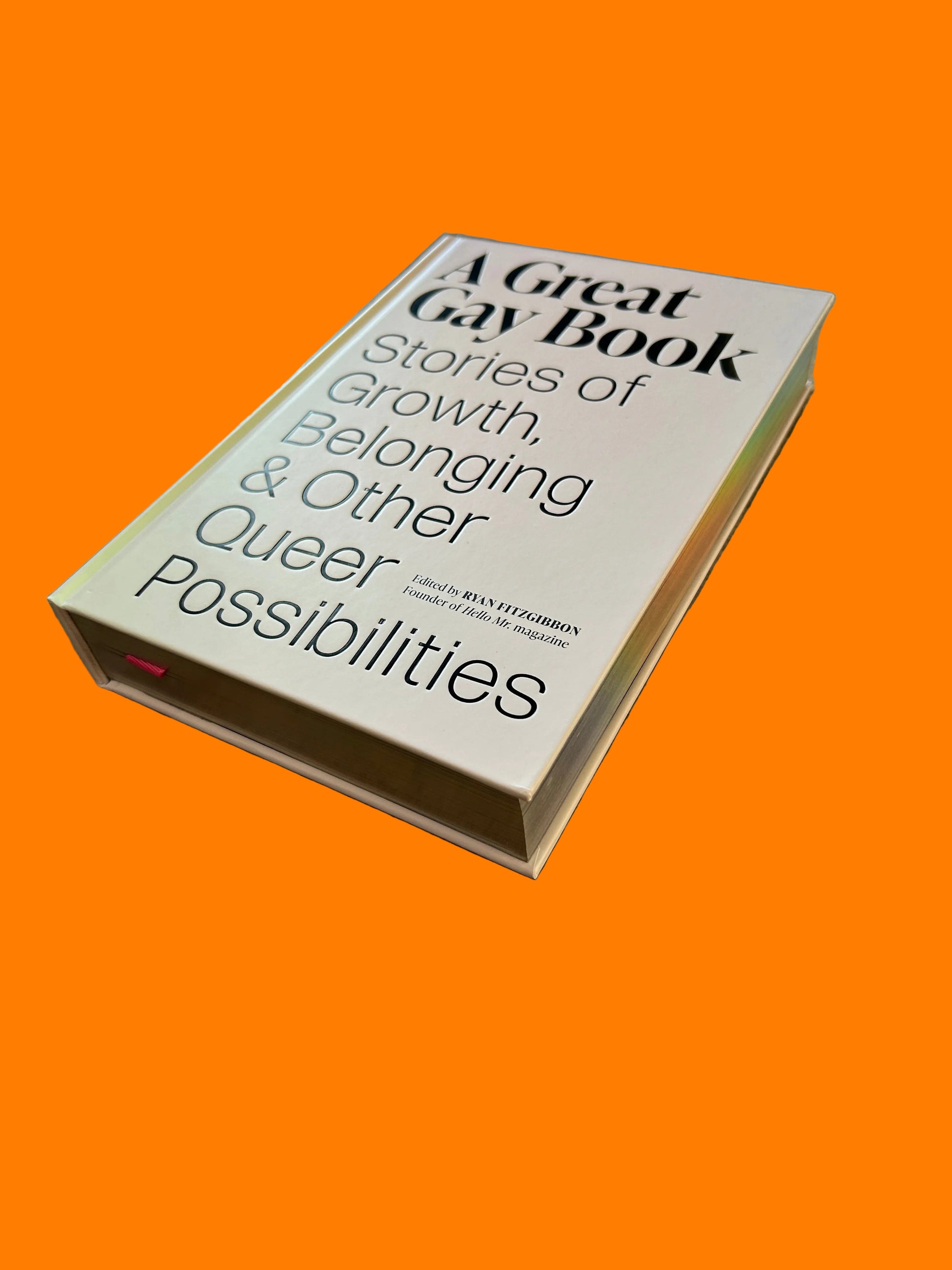 Book titled 'A Great Gay Book' on a textured surface