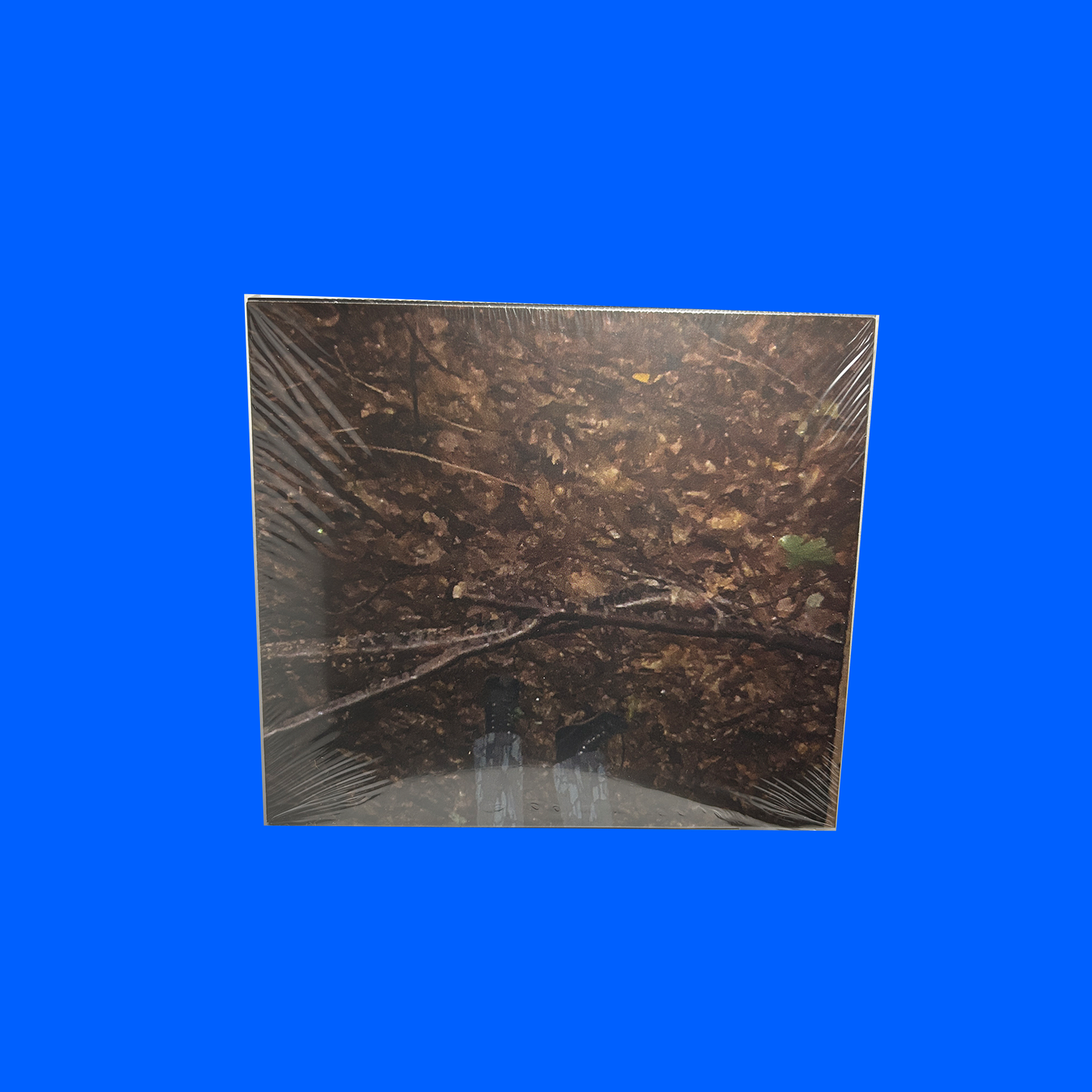 PUTRID MARSH  "LAUGHING SHADOWS"  CD - OOS